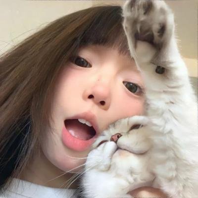 大案组